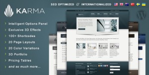 6. Karma WP Theme