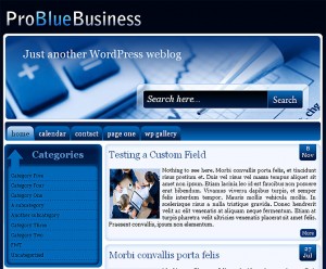 6. Pro Blue Business WordPress Theme
