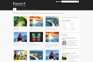 Expose Gallery WordPress Theme - 3 in 1
