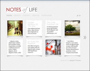 4DailyNotes