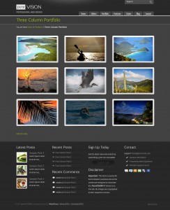 1. PureVision WP Theme