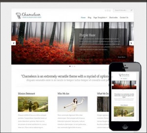 10. Chameleon Simple WordPress Theme