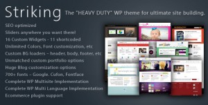 10. Striking Premium WP Theme