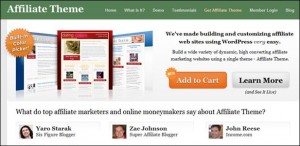 2. Affiliate WordPress Theme