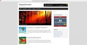 2. Basic WordPress Theme