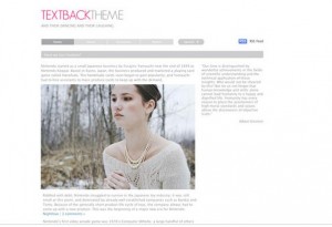 4. Textback WordPress Theme