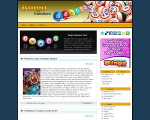 8. Bingo WordPress Theme