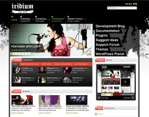 8. Iridium WordPress Theme