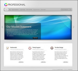 8. Professional WordPress Theme