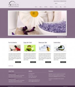 9. U-Design Professional WP Theme