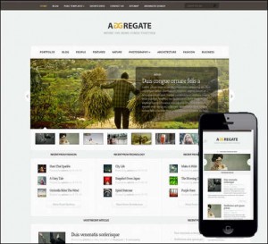 Aggregate Responsive Newsletter Theme for WordPress