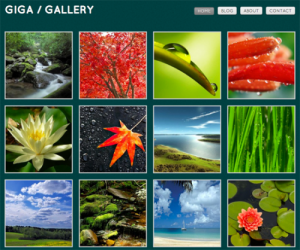 Giga Gallery Blog for WordPress