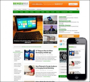 Resizable Responsive Theme