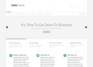 Trim Business and Portfolio Template