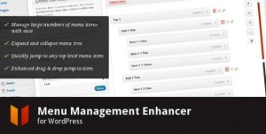 10 Menu Management Enhancer