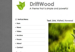 4. Driftwood