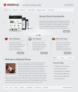 5 Minimal WordPress Theme