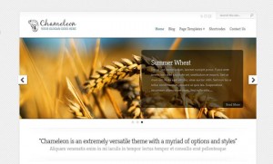7 Chameleon WordPress Minimal Theme