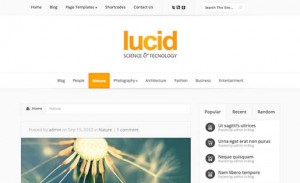 7 Lucid Theme