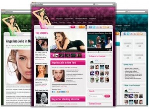 8 CelebrityPress WordPress Theme