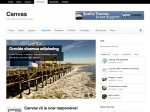 9 WooThemes Canvas