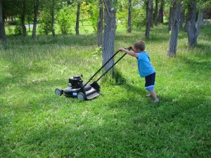 8. Mowing Lawns and Shovel Driveways