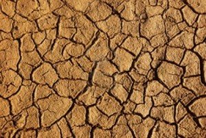 1 Weathered Desert Soil