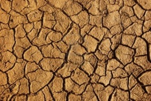 1 Weathered Desert Soil