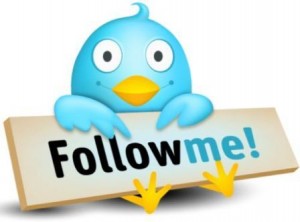 8. Follow People that Have Many Followers